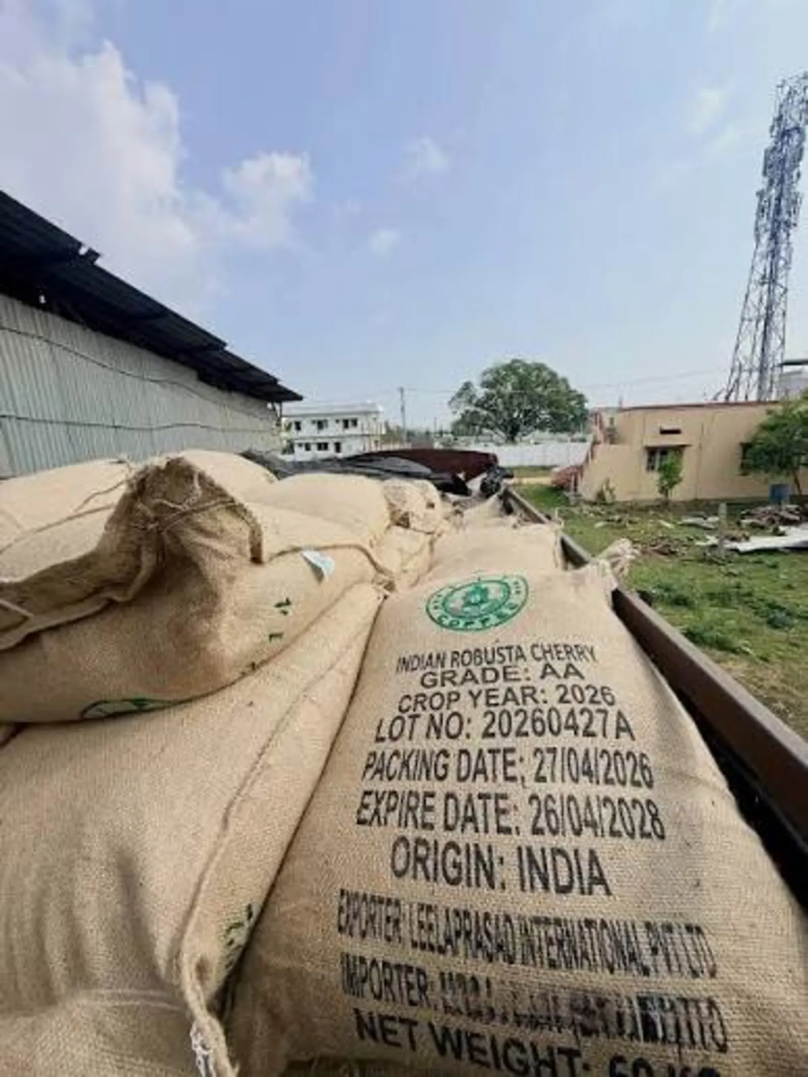 Leelaprasad Coffee — Indian Arabica and Robusta coffee export brand